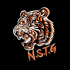 NASTEUNG TEAM icon