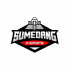 SUMEDANG ESPORTS icon
